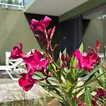 Guest house Finiq Boutiq 4*