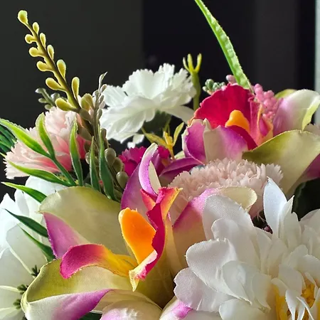 Finiq Boutiq Casa de hóspedes