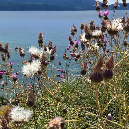 Finiq Boutiq Casa de hóspedes 3*