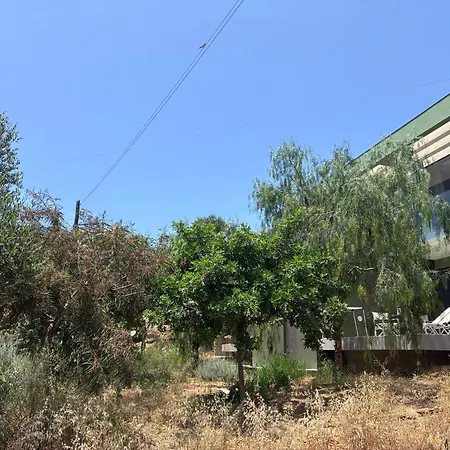 Finiq Boutiq Foiníki