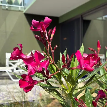 Casa de hóspedes Finiq Boutiq 3*