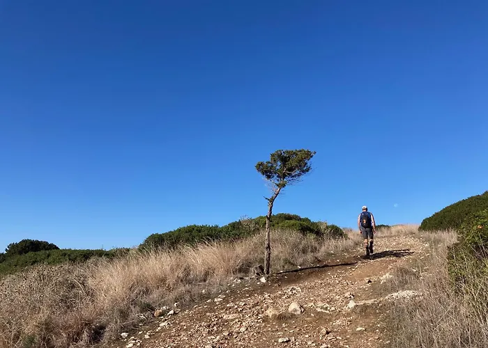 Finiq Boutiq Φοινίκι