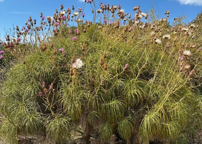 Finiq Boutiq 3* Φοινίκι