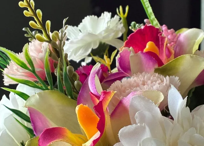 Finiq Boutiq Πανσιόν