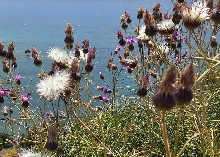 Finiq Boutiq Πανσιόν 3*