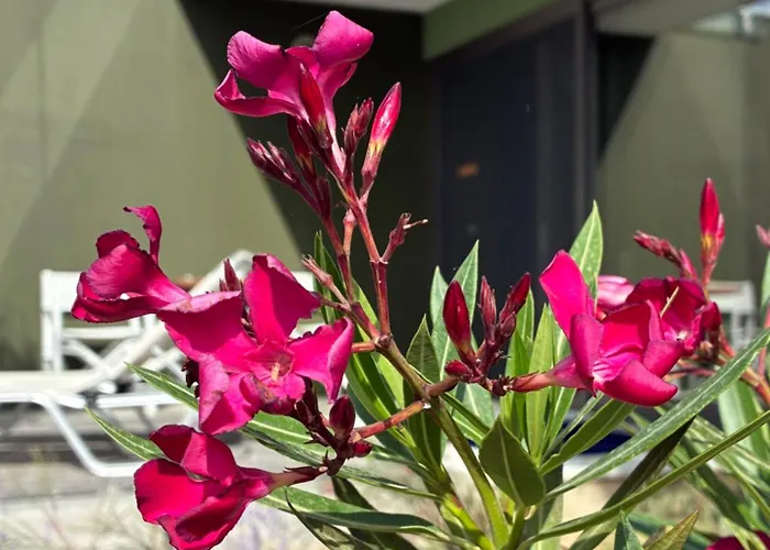 Πανσιόν Finiq Boutiq 3*