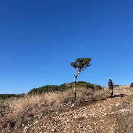 Finiq Boutiq Foiniki