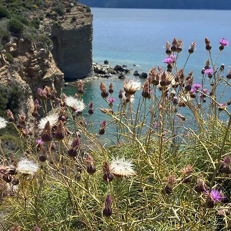 Finiq Boutiq Pensión