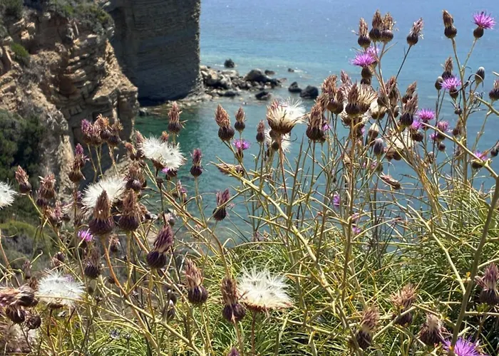 Finiq Boutiq Гостевой дом